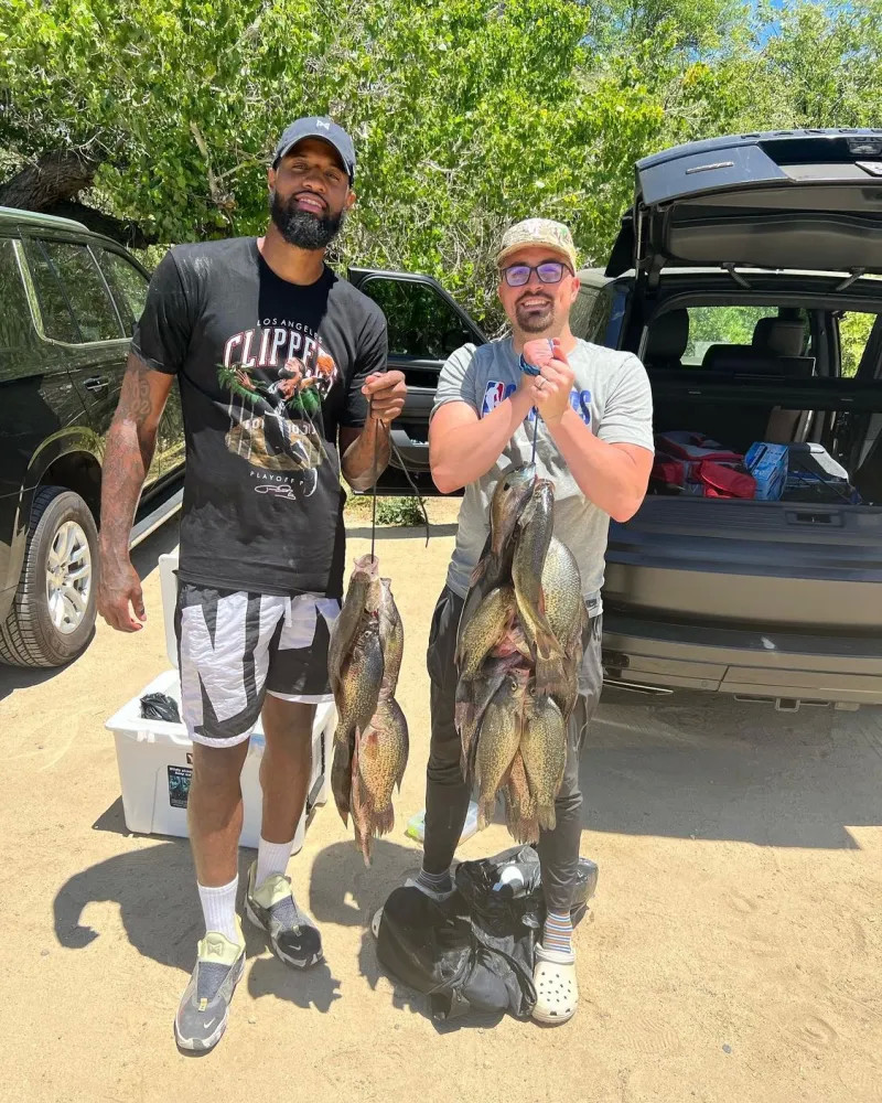 这样不仅能 这样不仅能