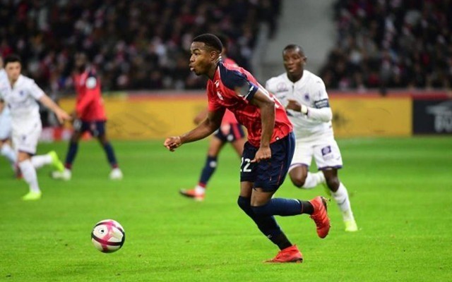 地位和贡献 地位和贡献